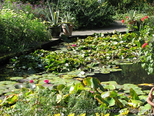 Hidcote Pond_1